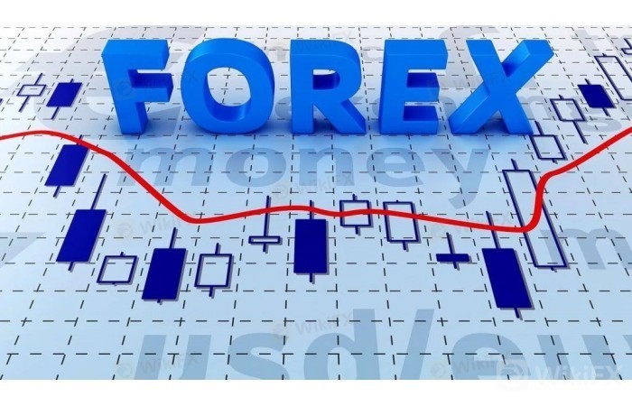 Forex.jpg