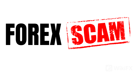 Forex 